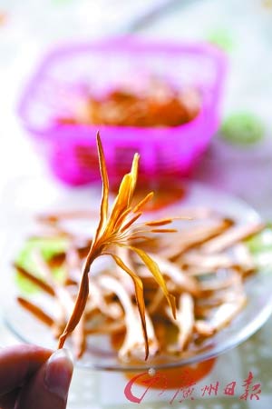 黄花菜 黄花菜